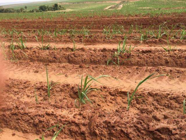 Fazenda à venda na vicinal, 111, Centro, Piracicaba por R$ 36.500.000