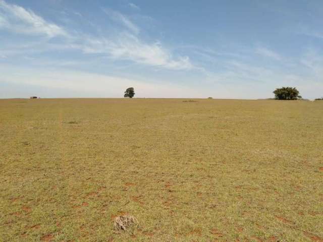 Fazenda à venda na Área Rural, Área Rural de Tatuí, Tatuí por R$ 41.000.000