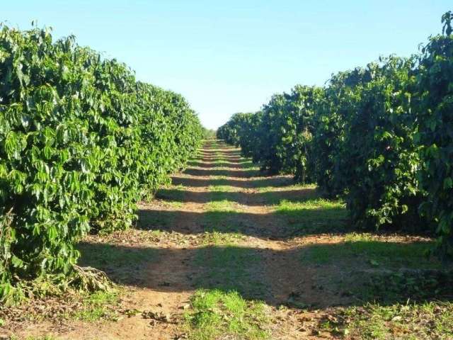 Fazenda à venda na Estrada vicinal, 1010, Centro, Piumhi por R$ 75.000.000