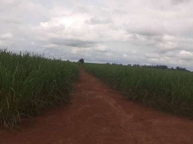 Fazenda à venda na Rua 6, Área Rural de Tatuí, Tatuí por R$ 38.250.000