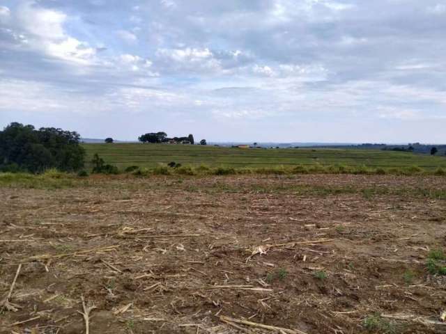 Fazenda à venda na Área Rural, Área Rural de Itapetininga, Itapetininga por R$ 7.000.000