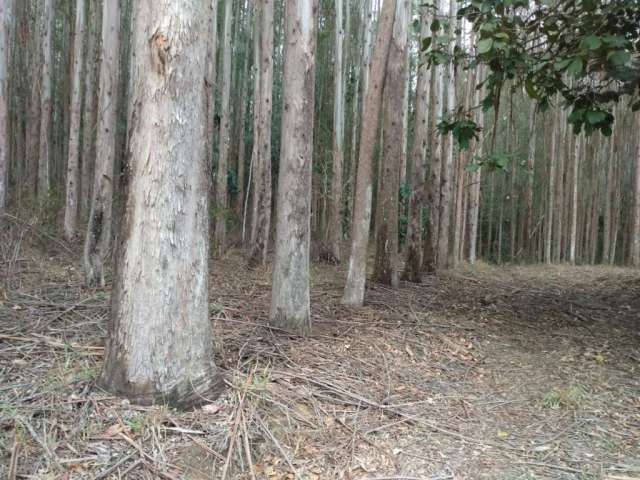 Fazenda à venda na Vicinal, 1020, Centro, Lavrinhas por R$ 30.000.000