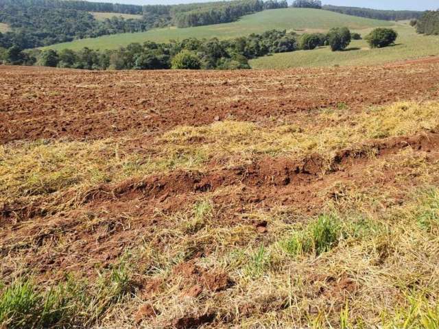 Chácara / sítio à venda na Área Rural, Área Rural de Itapetininga, Itapetininga por R$ 3.500.000