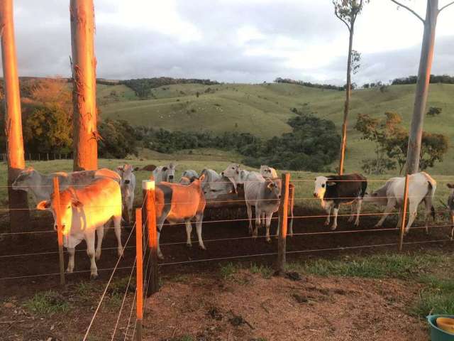 Chácara / sítio com 3 quartos à venda na Estrada Vicinal Vitor Gomes de Macedo, S/N, Área Rural de Capão Bonito, Capão Bonito por R$ 900.000