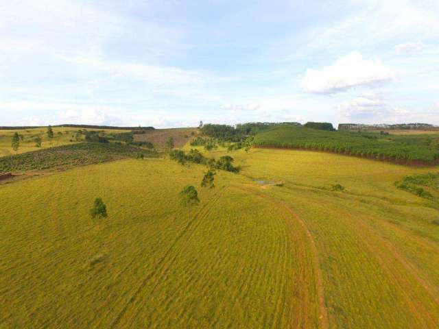 Chácara / sítio à venda na Estrada de 2ª Ordem para Estância São Pedro I, Fazenda São Pedro (Zona Rural), São José do Rio Preto por R$ 3.000.000