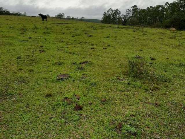 Chácara / sítio à venda na Estrada Vicinal, 1010, Centro, São Miguel Arcanjo por R$ 3.200.000