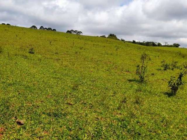 Chácara / sítio à venda na Estrada Vicinal, Zona Rural, Pilar do Sul por R$ 4.000.000