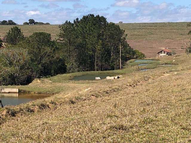 Chácara / sítio à venda na Área Rural, Centro, Itapetininga por R$ 2.800.000