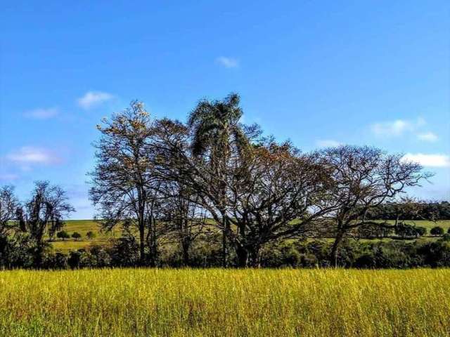 Chácara / sítio à venda na End. Rodovia Raposo Tavares km 245, Zona Rural, Paranapanema por R$ 1.100.000