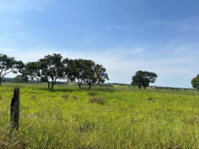 Fazenda à venda na Fazenda Região Uberlandia, Área Rural de Uberlândia, Uberlândia por R$ 30.000.000