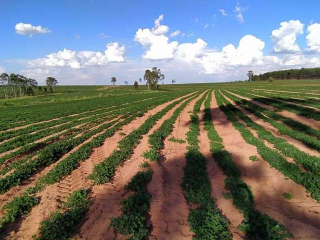 Fazenda à venda na Rio Branco, Alto Cafezal, Marília por R$ 21.450.000