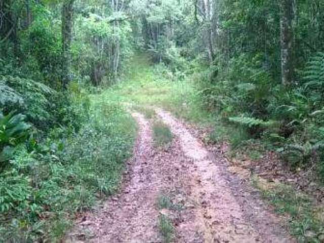 Terreno à venda na Estrada do Rio Bonito Bairro do Rio Bonito, 0001, Zona Rural, Tapiraí por R$ 106.000