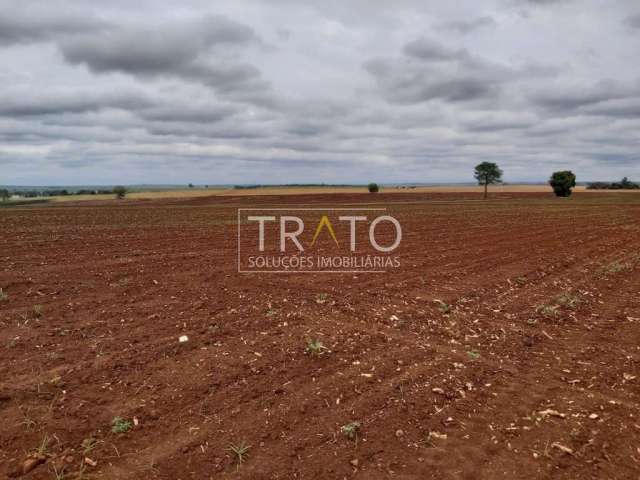 Terreno comercial à venda na Hermann Janait, s/nº, Fazenda Velha, Nova Odessa por R$ 20.000.000