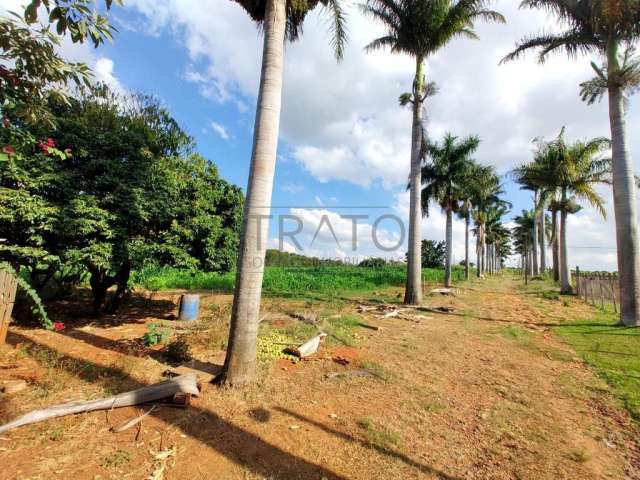 Terreno em condomínio fechado à venda na Estrada Municipal Adelina Segantini Cerqueira Leite, s/n°, Chácara São Rafael, Campinas por R$ 26.000.000