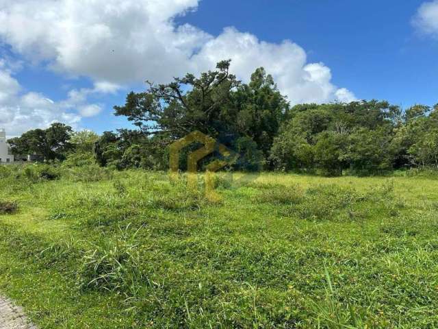 Terreno para Venda em Florianópolis, Ribeirão da Ilha