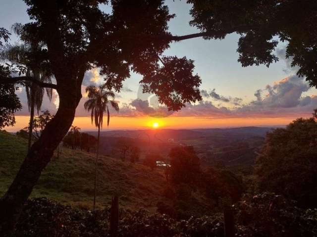 Chácara / sítio à venda na Praça Ziconeca, 87, Ribeirão Santo Antônio, 01, Três Barras, Divinolândia, 169400 m2 por R$ 1.150.000