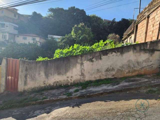 Terreno à Venda em Santo André, Belo Horizonte - MG