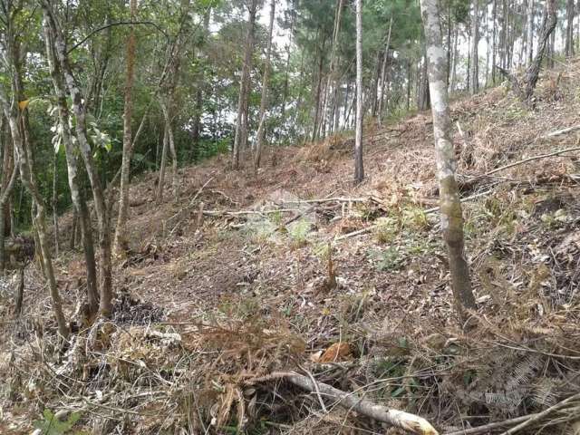 Terreno à venda, 1121 m² por R$ 100.000,00 - Portal das Colinas - Mairiporã/SP