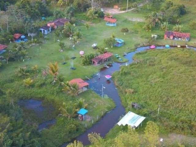 Reserva ecológica utinga, muito bem localizada em igarassu.