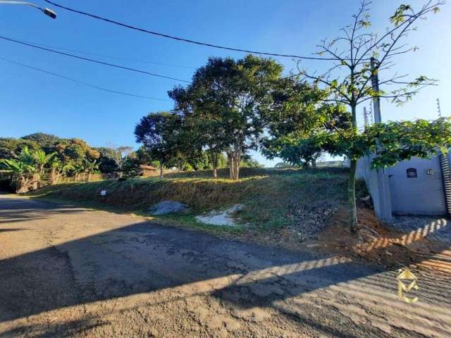 Terreno à venda, 5000 m² por R$ 1.699.000 - Chácaras Cataguá - Taubaté/SP