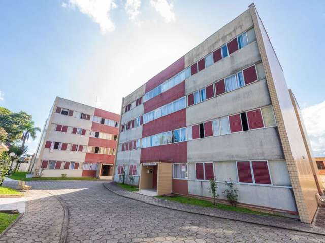 Lindo apartamento com 3 quartos  1 suíte no Água Verde