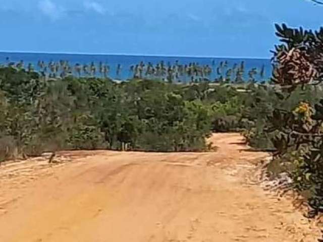 Terreno para Venda em Mata de São João, Praia do Forte