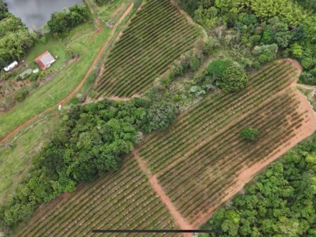 Invista na Alta do Café: Sítio Produtivo à Venda em São Sebastião do Paraíso!