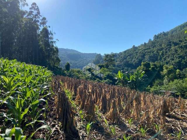 Chácara com vista e riacho na Serra Gaúcha