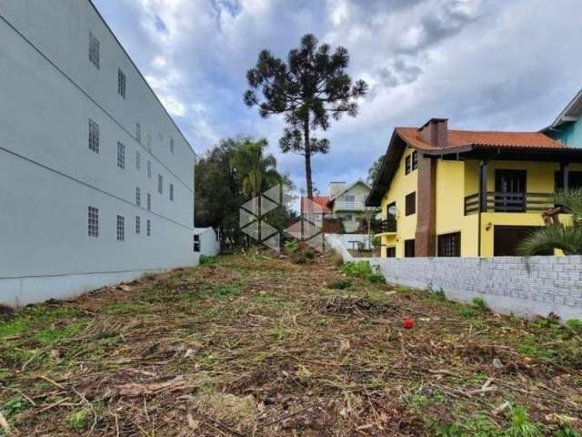 Terreno no bairro logradouro em Nova petropolis