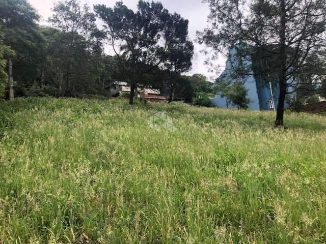 Terreno no Bairro Pousada da Neve em Nova Petrópolis