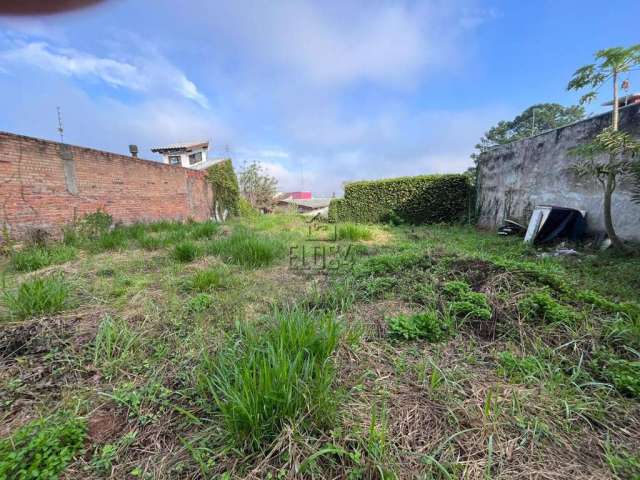 Terreno à venda em São Leopoldo, Morro do Espelho