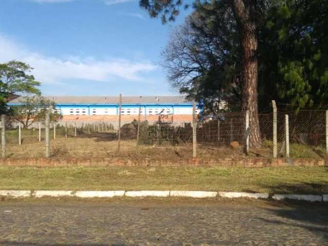 Terreno para venda  no Bairro Cristo Rei em São Leopoldo