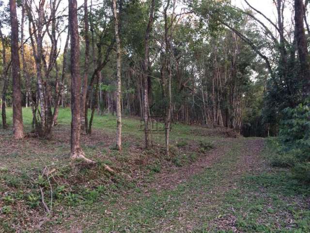 Terreno para venda  no Bairro Vila Rica em São Sebastião do Caí