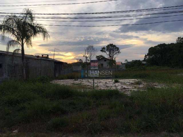 Terreno à venda, 490 m² por R$ 120.000,00 - Ervino - São Francisco do Sul/SC