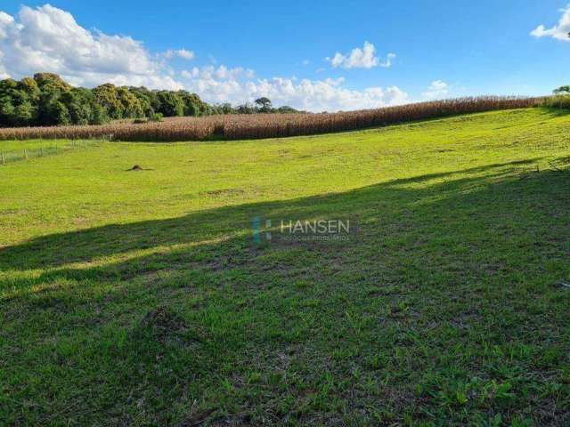 Terreno à venda, 3527 m² por R$ 980.000,00 - Belo Horizonte - Campo Alegre/SC