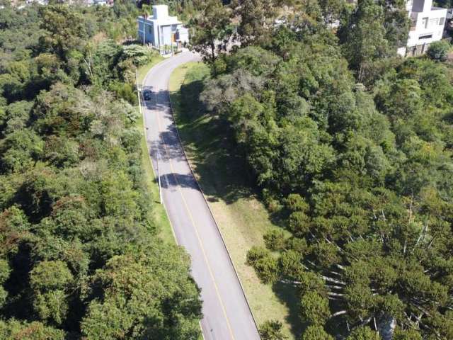 Terreno para Venda no bairro Santo Antão em Bento Gonçalves, 2000 m² de área total, 2000 m² privativos,