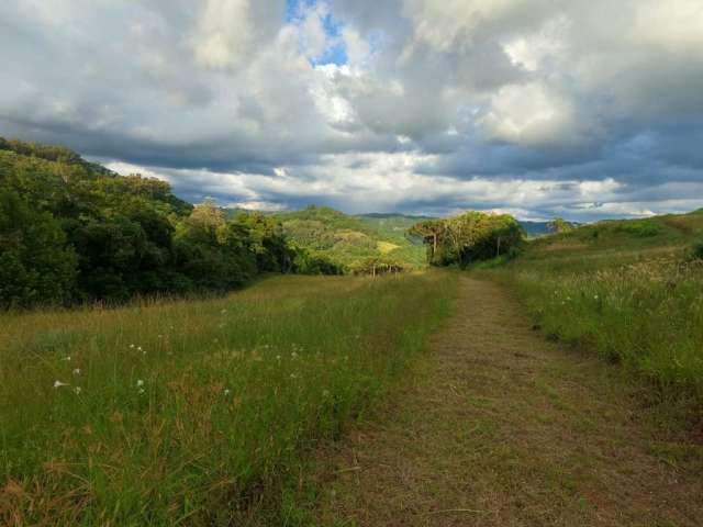 Sítio / Chácara para Venda no bairro Segunda Légua em Caxias Do Sul, 20000 m² de área total, 20000 m² privativos,