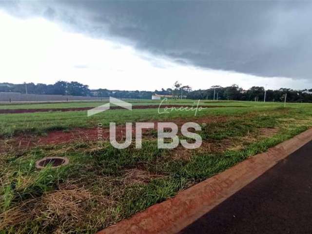 LOTE PLATEAU DOR - 1.481,01m2 - o Maior lote do condomínio