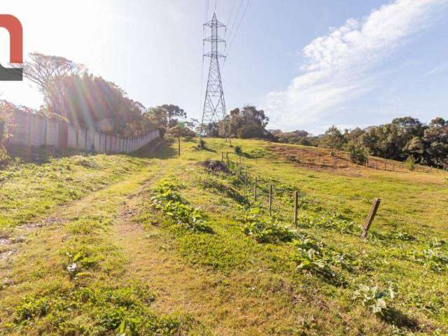 Terreno à venda, 9929 m² por R$ 1.300.000,00 - Santa Cândida - Curitiba/PR