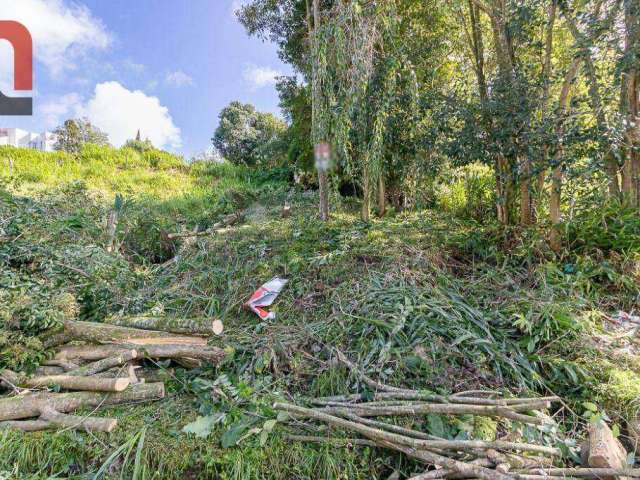 Terreno à venda, 412 m² por R$ 350.000,00 - Ecoville - Curitiba/PR