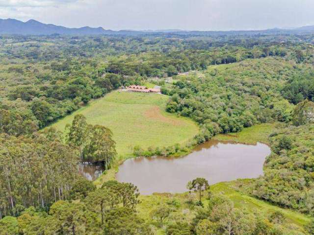 Área à venda, 39051 m² por R$ 5.600.000,00 - Vila Fuck - Piraquara/PR