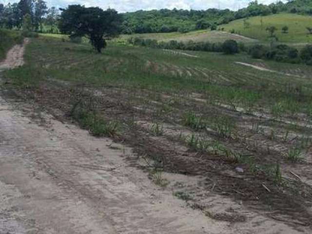 Área rural à venda, São Pedro, Porto Feliz.