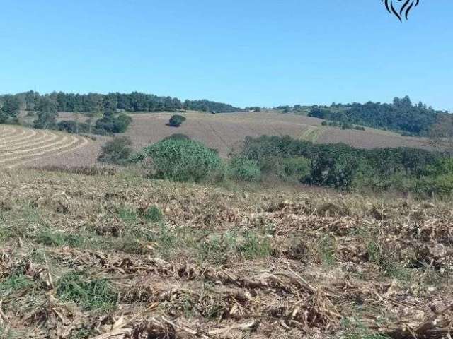 Oportunidade de render seu dinheiro em lotes