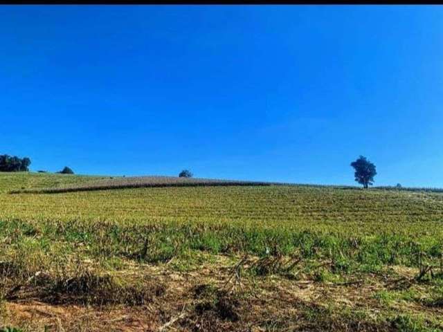 Imóvel para venda possui 500 metros quadrados em Centro - Mogi das Cruzes - SP