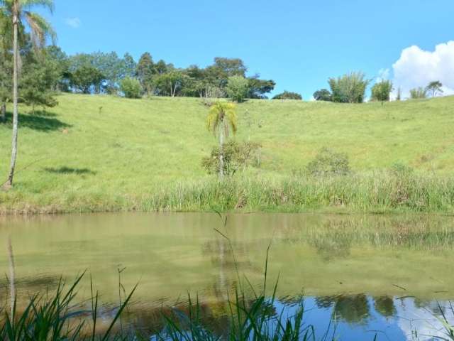 Lotes com luz e água