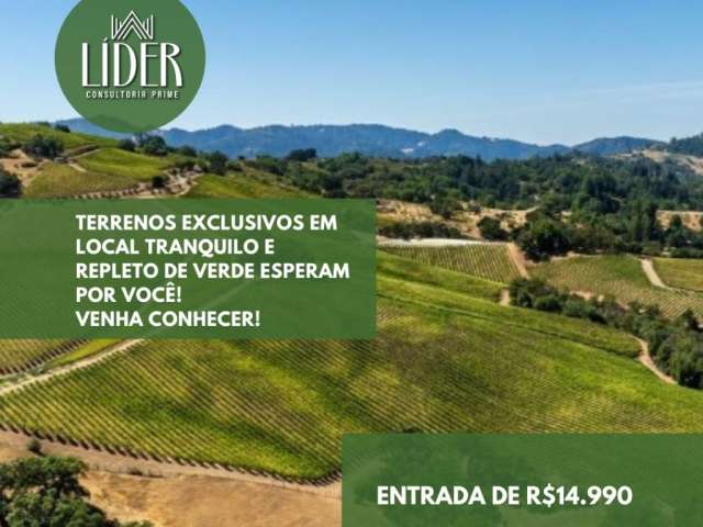 Terrenos exclusivos em local tranquilo e repleto de verde esperam por você! venha conhecer!