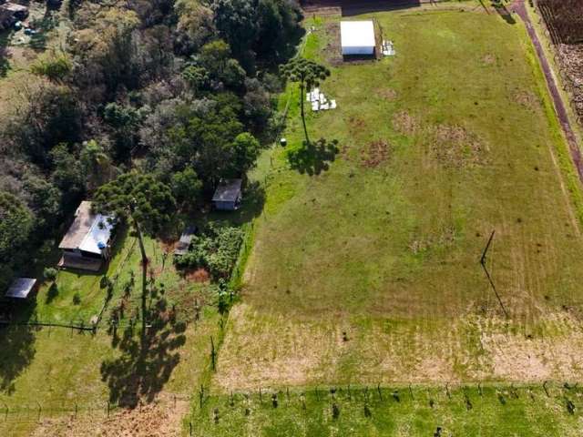 Fazenda à venda na Chapecó, SC, Brasil, Figueira, Chapecó, 130 m2 por R$ 1.750.000