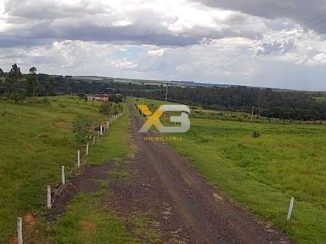 Terreno a venda em Castelo Branco