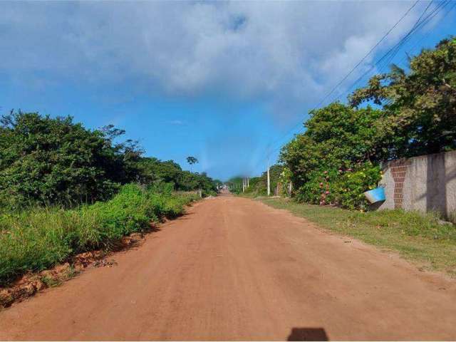 Terrenos junto ao centro de Tibau do Sul