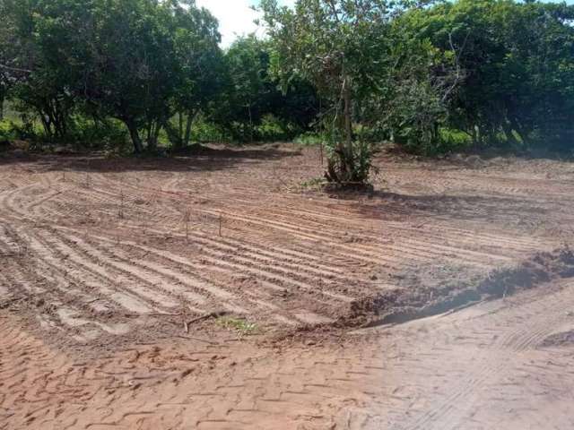 Terreno plano de esquina junto ao centro de Tibau do Sul